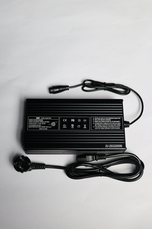 67.2V 6A--Fast Charger